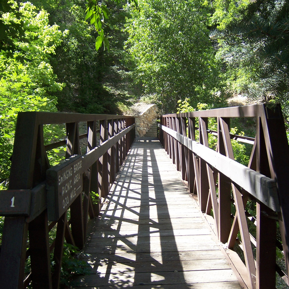 Meet your Posher, Ashton - Picture 1 of 1